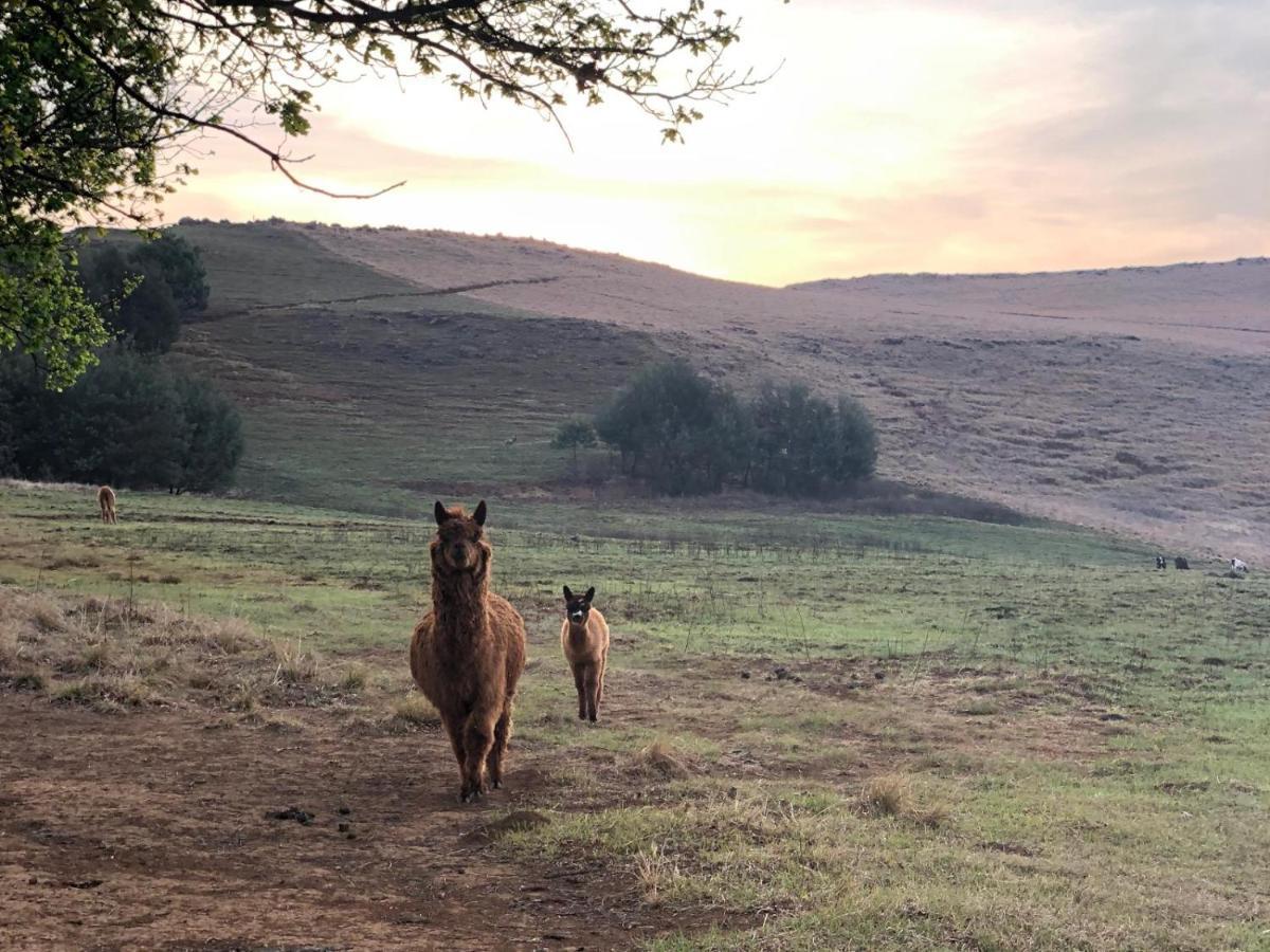 Lake Glencairn Underberg Esterno foto